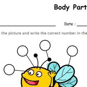Label the Body Parts of Bee Worksheet Download
