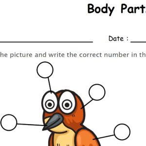 Label the Body Parts of Bird Worksheet Download