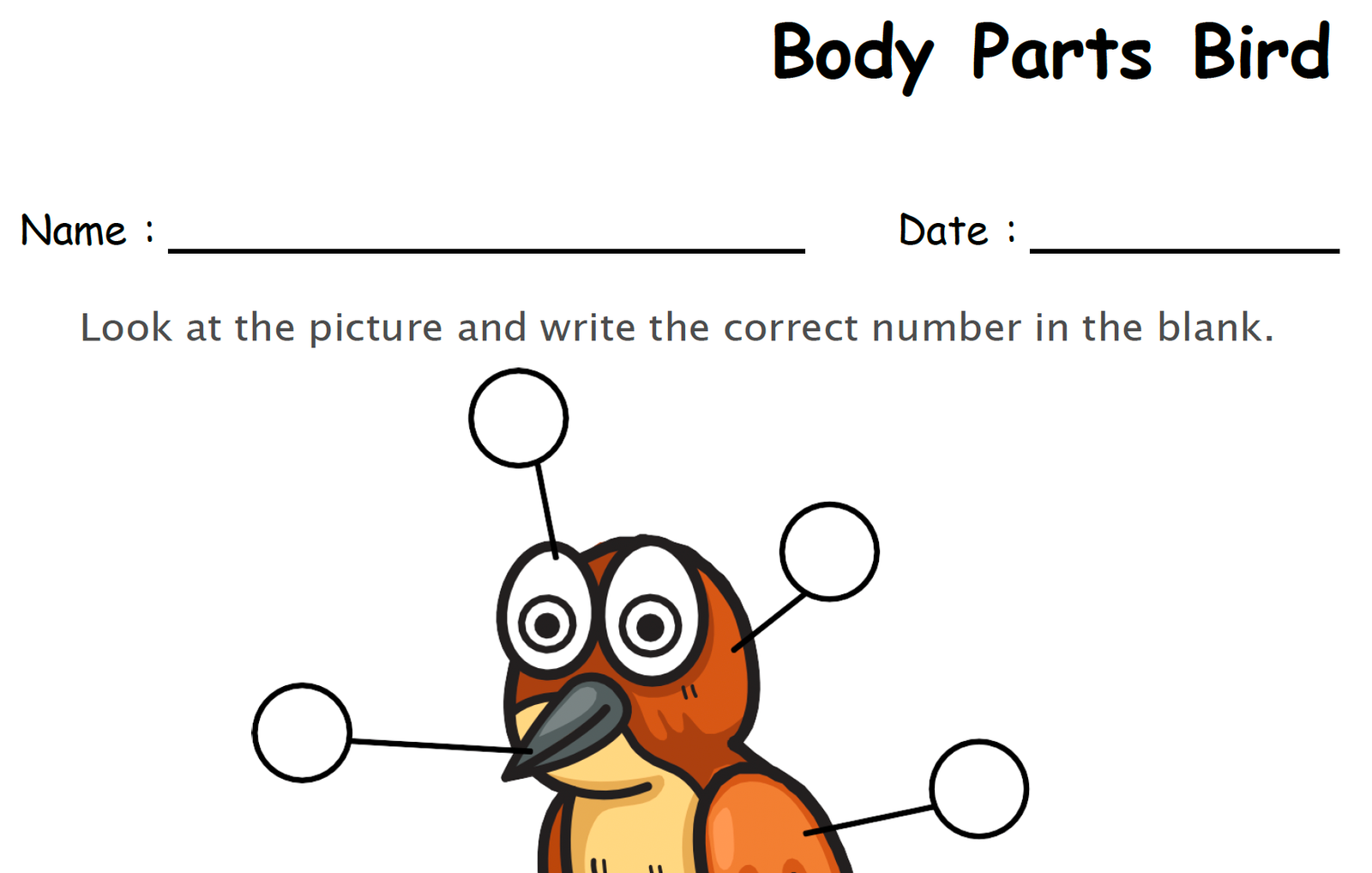 label the body parts of bird worksheet