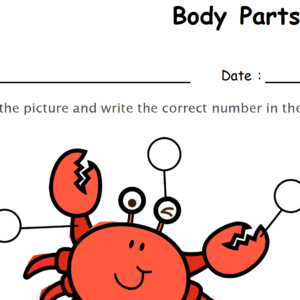 Label the Body Parts of Crab Worksheet Download