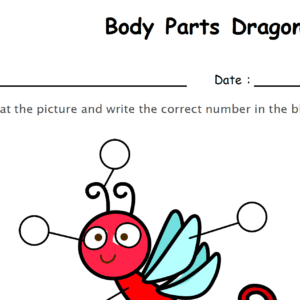 Label the Body Parts of Dragon Fly Worksheet Download