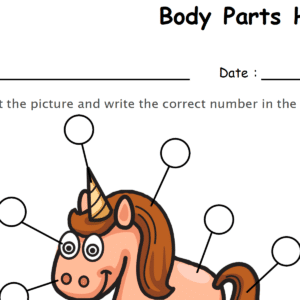 Label the Body Parts of Horse Worksheet Download