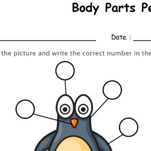 Label the Body Parts of Penguin Worksheet Download
