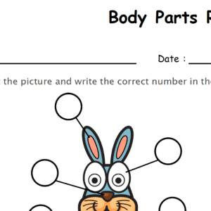 Label the Body Parts of Rabbit Worksheet Download