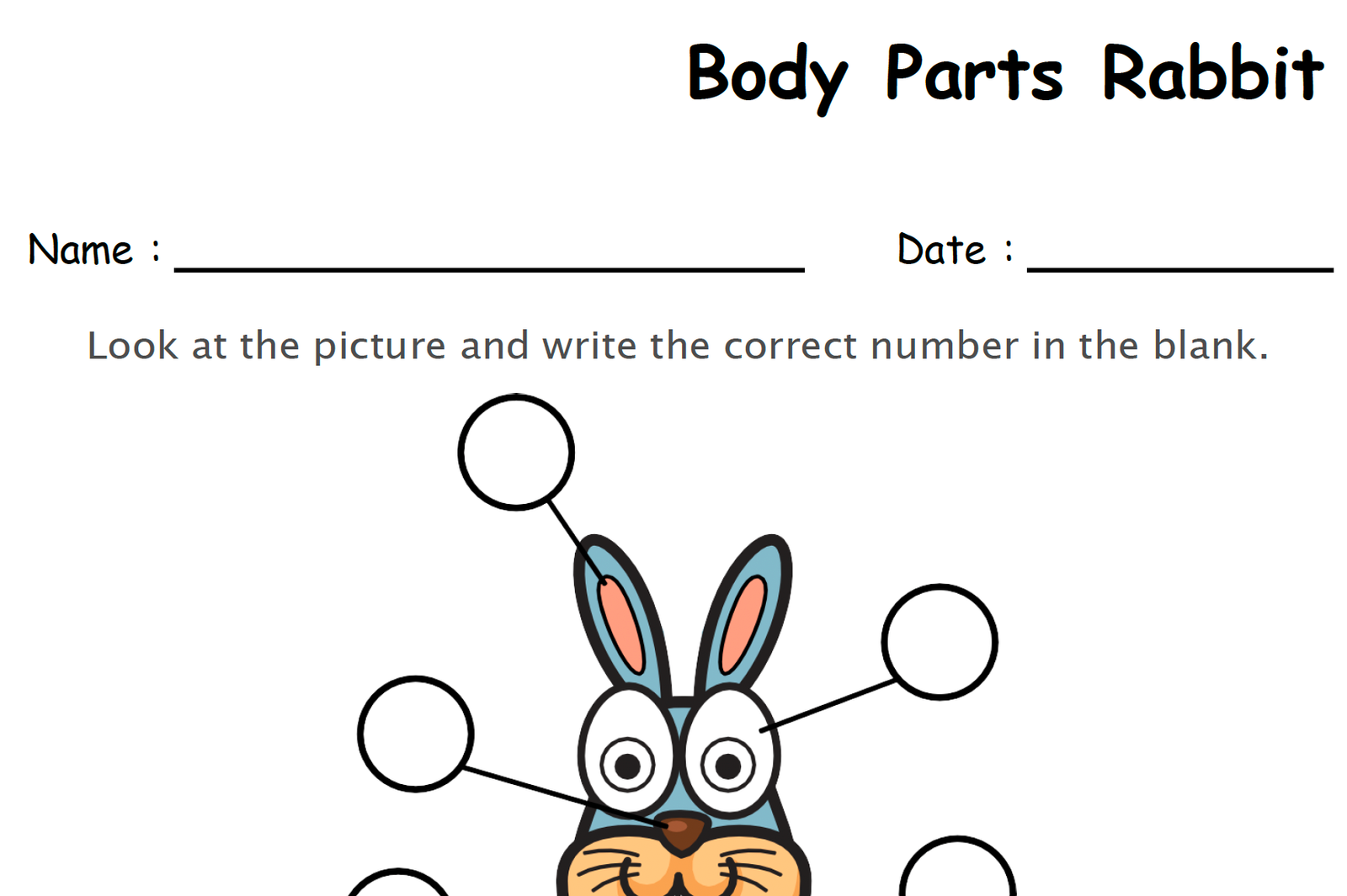 label the body parts of rabbit worksheet