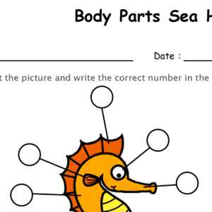Label the Body Parts of Sea Horse Worksheet Download