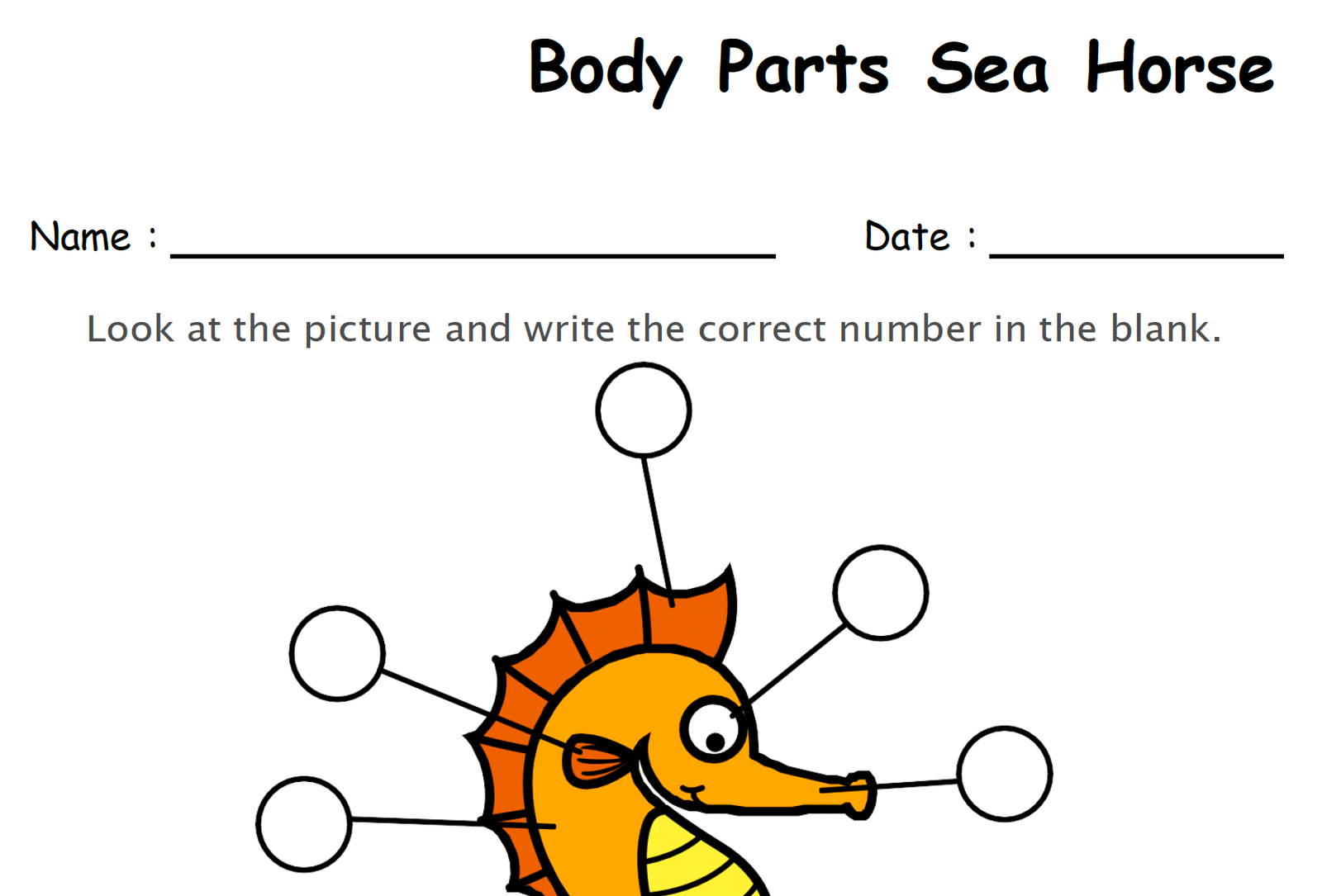 label the body parts of rabbit worksheet copy