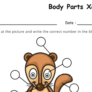 Label the Body Parts of Xerus Worksheet Download