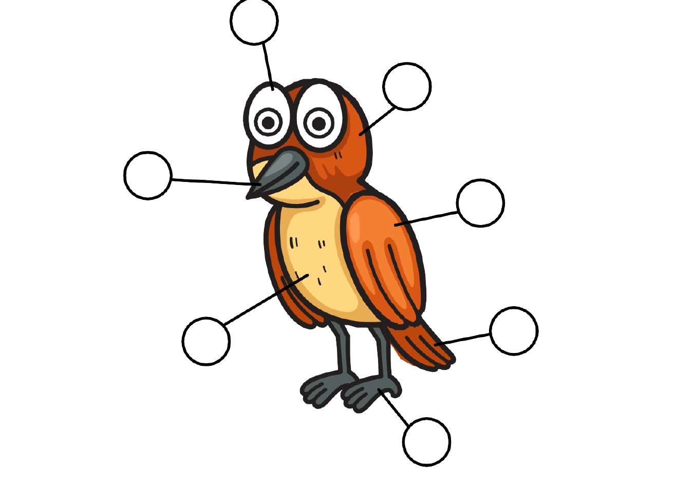 Label the Body Parts of Bird Worksheet New