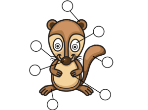 label the body parts of xerus worksheet new