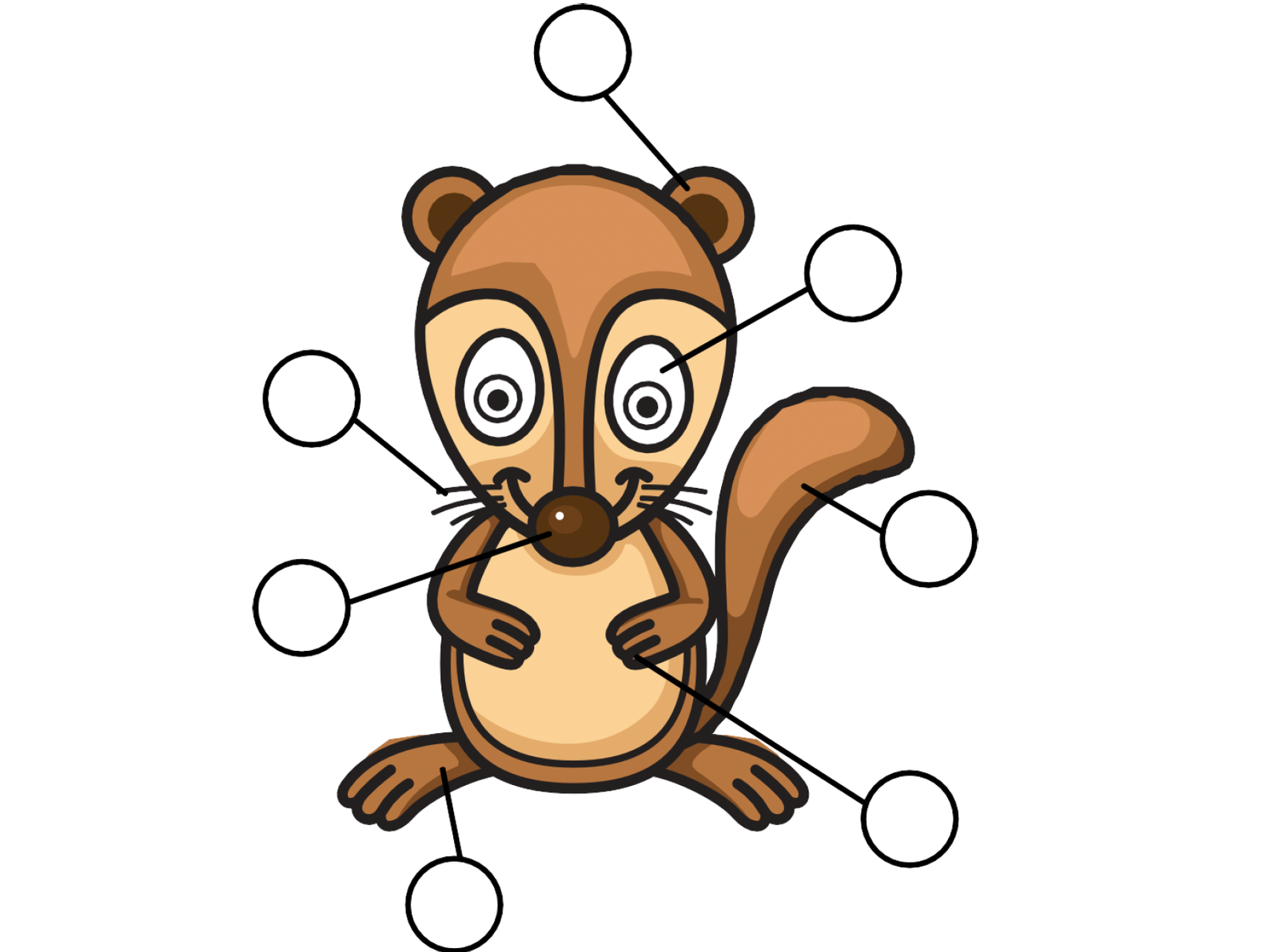 label the body parts of xerus worksheet new